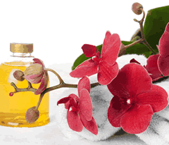 Sunny Hill Retreat Accommodation & Day Spa - Accommodation Adelaide 0