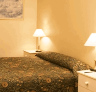 Best Western Abel Tasman Airport Motor Inn - Accommodation Adelaide