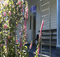 Devonport Bed And Breakfast