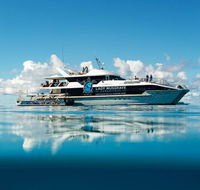 Bundaberg to Lady Musgrave Island Day Cruise - Accommodation Adelaide