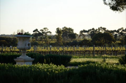 Angas Plains Estate Wines Heritage Suite - Accommodation Adelaide 6