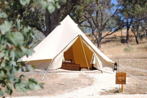 Cosy Tents - Accommodation Adelaide 0
