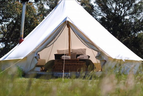 Cosy Tents - Accommodation Adelaide 4