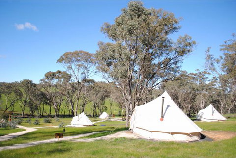 Cosy Tents - Accommodation Adelaide 5