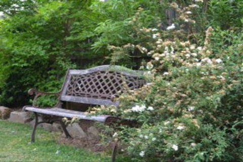 Garden Cottage B And B - Accommodation Adelaide 4