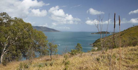 Molle Island National Park (Whitsundays National Park) Camping Ground - Accommodation Adelaide 1