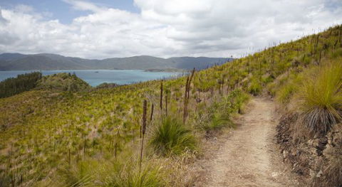 Molle Island National Park (Whitsundays National Park) Camping Ground - Accommodation Adelaide 2