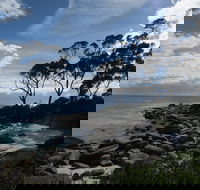 Binalong Bay Beach Shack - Accommodation Adelaide