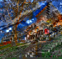 Golden Eagle 2 - Accommodation Adelaide