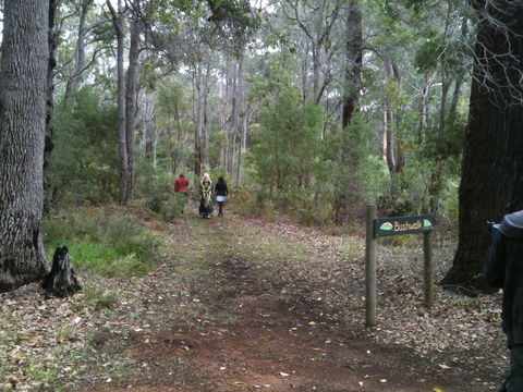 Margaret River Chalets - Accommodation Adelaide 2