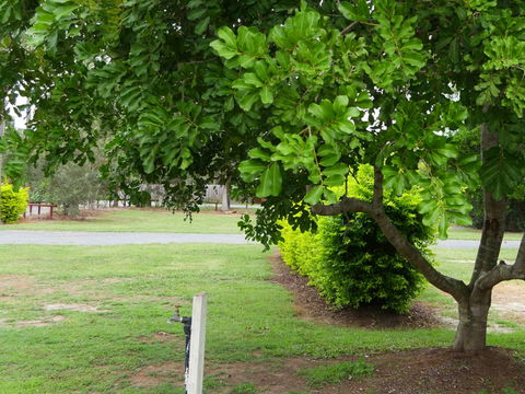 Secura Lifestyle North Gold Coast - Accommodation Adelaide 8