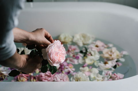 Acre Of Roses - Accommodation Adelaide 5