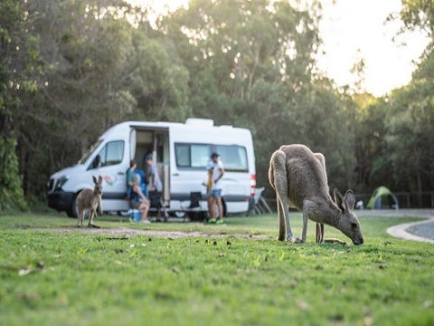 Diamond Head Campground - Accommodation Adelaide 3