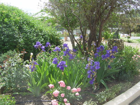 Garden Motor Inn (Golden Chain) - Accommodation Adelaide 7