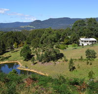 Golden Wattle - Kiaroo - Accommodation Adelaide