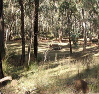 Greenbah campground - Accommodation Adelaide
