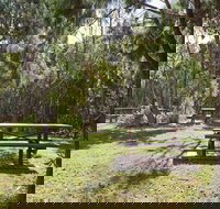 Illaroo group camping area - Accommodation Adelaide