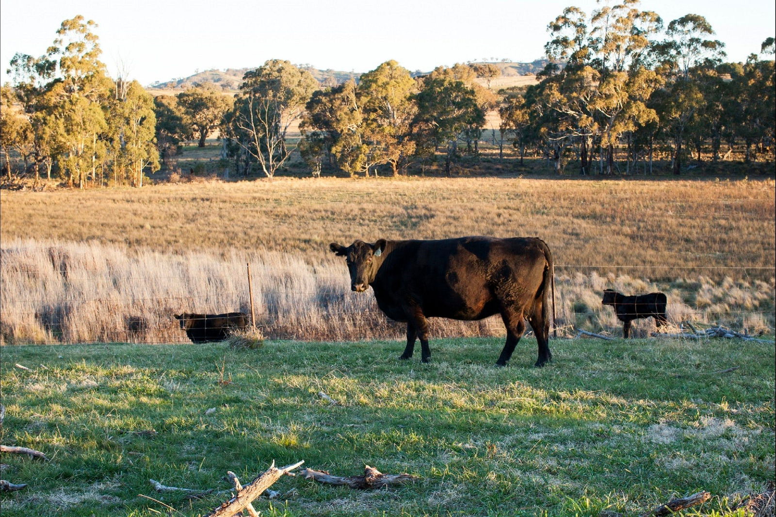 Meroo NSW Accommodation Adelaide