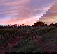 Milawa Vineyard Views - Accommodation Adelaide