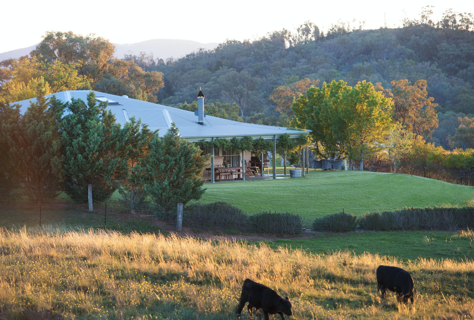 Mudgee NSW Accommodation Adelaide