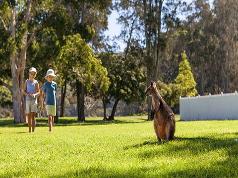 The Basin Campground - Accommodation Adelaide 4