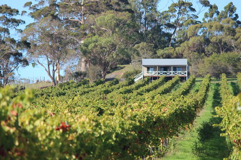 The Sleeping Lady Private Retreat - Accommodation Adelaide 1