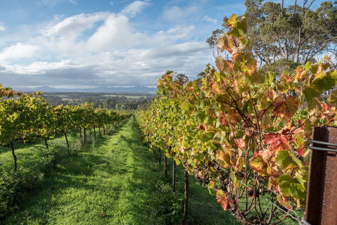 The Sleeping Lady Private Retreat - Accommodation Adelaide 2