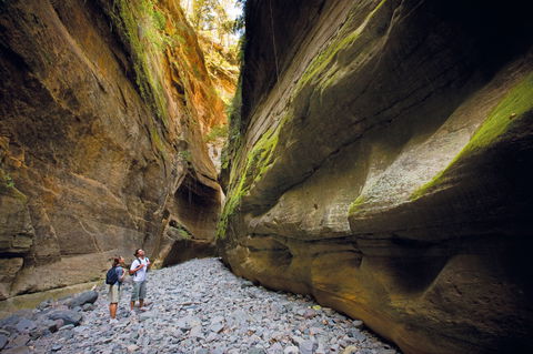 Carnarvon National Park Camping - Accommodation Adelaide 0
