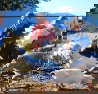 Cedar Glen Farmstay - Accommodation Adelaide