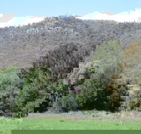 Jessica's Guest House and Vineyard - Accommodation Adelaide