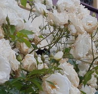 Old Post Office Guesthouse Carcoar - Accommodation Adelaide