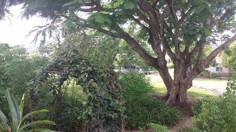 Rosehill Apartments - Accommodation Adelaide 2