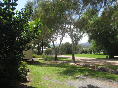Tenterfield Lodge And Caravan Park - Accommodation Adelaide 1