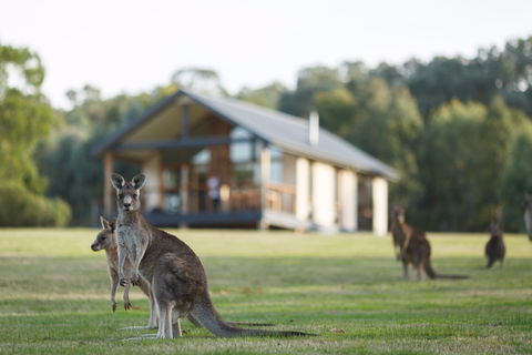 Yering Gorge Cottages - Accommodation Adelaide 0