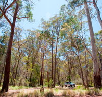 Coolah Tops National Park Camping - Accommodation Adelaide