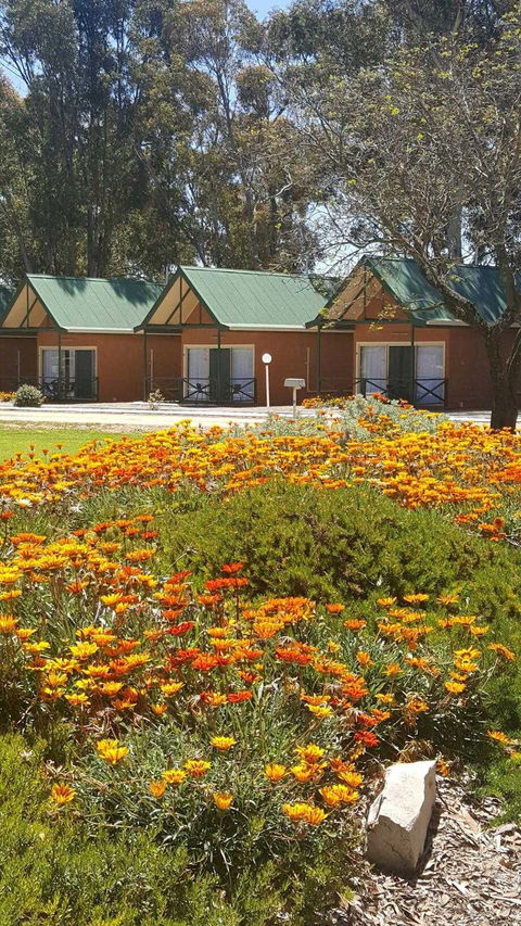Jamestown Country Retreat Caravan Park - Accommodation Adelaide 1