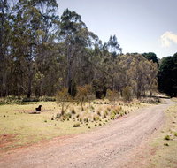 The Pines campground - Accommodation Adelaide