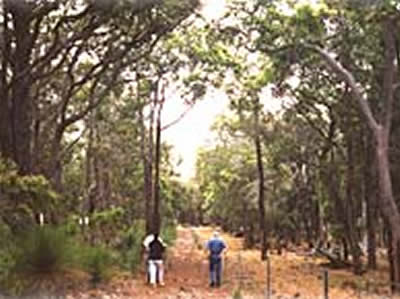 Bussells Bushland Cottages - Accommodation Adelaide 3