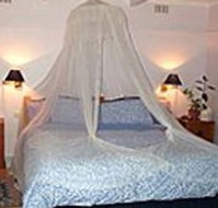 Bondi Beach Garden Sweet - Accommodation Adelaide