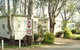 Buronga Riverside Tourist Park - thumb 1