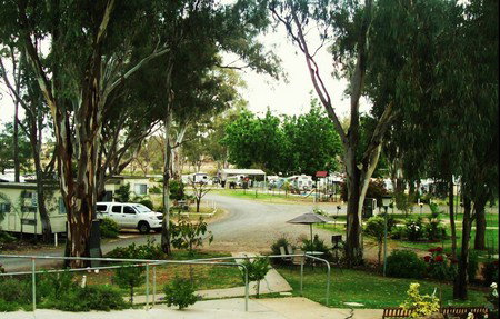 Buronga Riverside Tourist Park - Accommodation Adelaide 4