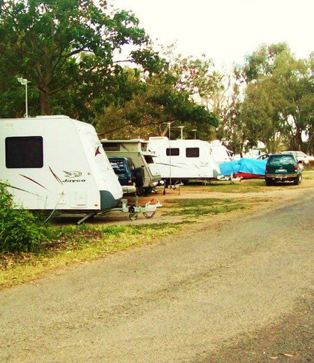 Buronga Riverside Tourist Park - Accommodation Adelaide 5