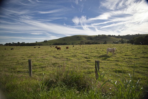 Annas Retreat - Accommodation Adelaide 0