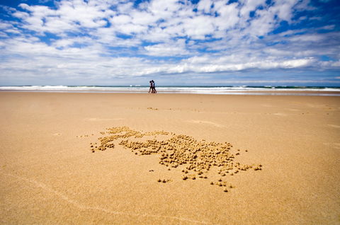 BIG4 Nambucca Beach Holiday Park - Accommodation Adelaide 1