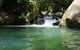 Daintree Secrets Rainforest Sanctuary - thumb 0