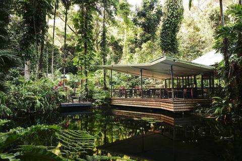 Daintree Ecolodge - Accommodation Adelaide 1