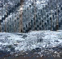 High Peaks Cottages - Accommodation Adelaide