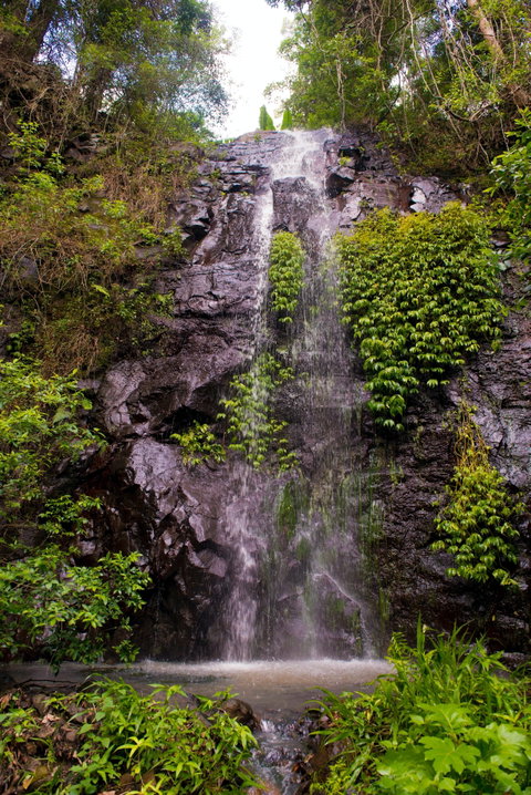 Nimbin Waterfall Retreat - Accommodation Adelaide 0