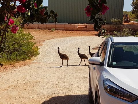 Ningaloo Bed And Breakfast - Accommodation Adelaide 1