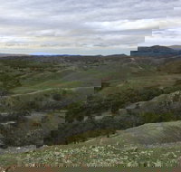 Three Creeks - Accommodation Adelaide